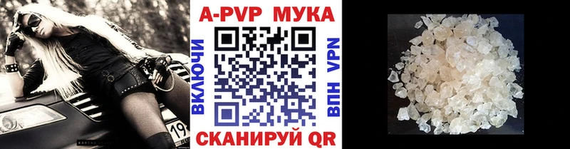 APVP СК  Короча 