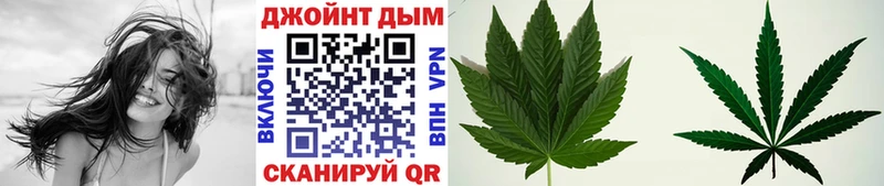 где продают наркотики  Короча  Шишки марихуана White Widow 